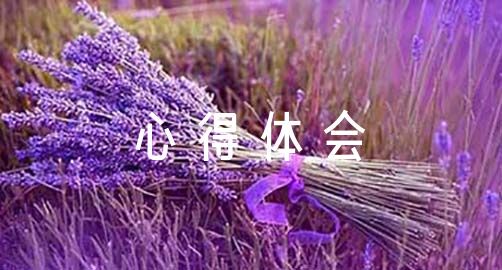 为什么稳定性对篮球发展如此重要_1
