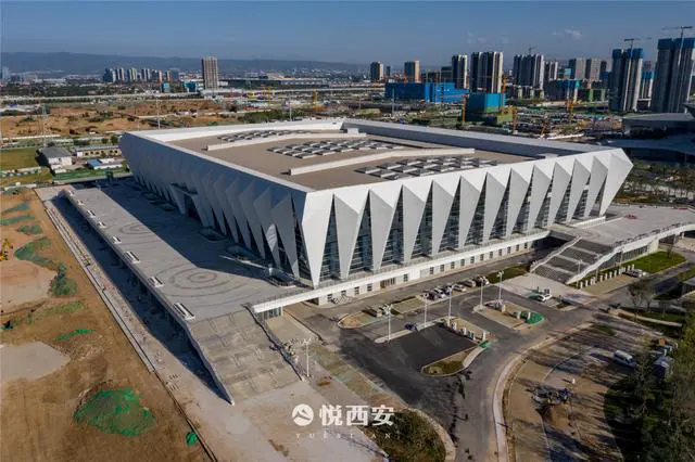 大学篮球运动员如何应对常见的伤病并进行有效治疗?_2